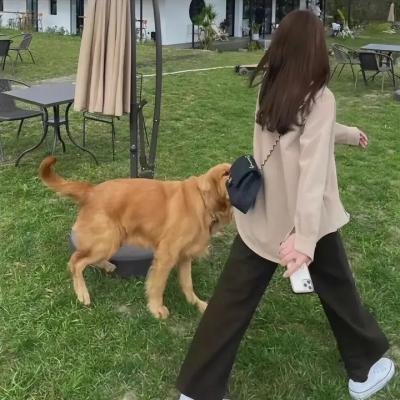 恐怖走廊